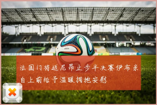 法国门将迈尼昂止步半决赛伊布亲自上前给予温暖拥抱安慰